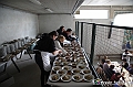 VBS_2993 - Festa di San Vincenzo 2024 - Pranzo al Torrazzo